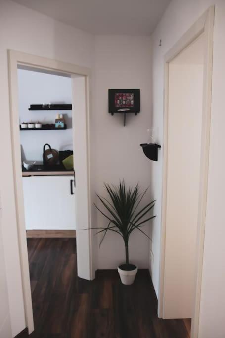 Schoene Wohnung Top Lage Koeln Work & Relax & Travel Frechen Exteriör bild